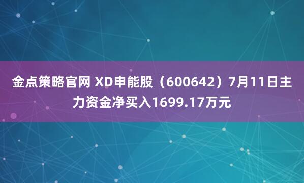 金点策略官网 XD申能股（600642）7月11日主力资金净买入1699.17万元