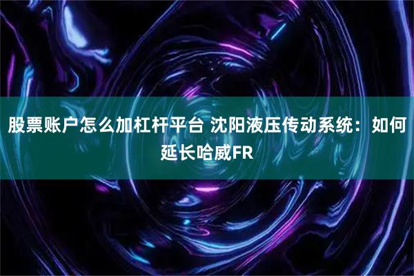 股票账户怎么加杠杆平台 沈阳液压传动系统：如何延长哈威FR