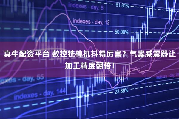 真牛配资平台 数控铣榫机抖得厉害？气囊减震器让加工精度翻倍！
