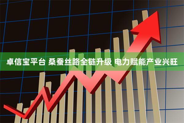 卓信宝平台 桑蚕丝路全链升级 电力赋能产业兴旺