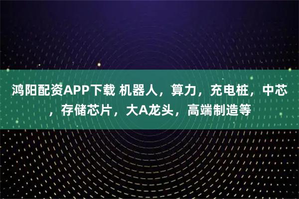鸿阳配资APP下载 机器人，算力，充电桩，中芯，存储芯片，大A龙头，高端制造等
