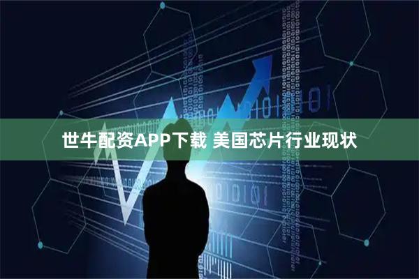 世牛配资APP下载 美国芯片行业现状