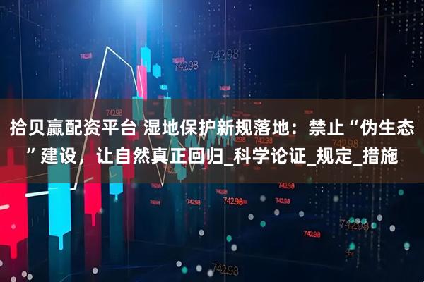 拾贝赢配资平台 湿地保护新规落地：禁止“伪生态”建设，让自然真正回归_科学论证_规定_措施