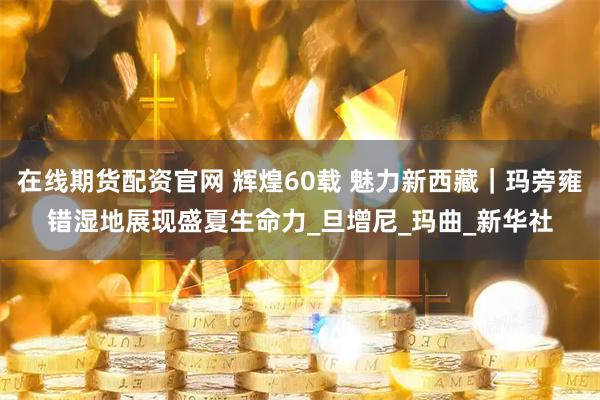 在线期货配资官网 辉煌60载 魅力新西藏｜玛旁雍错湿地展现盛夏生命力_旦增尼_玛曲_新华社
