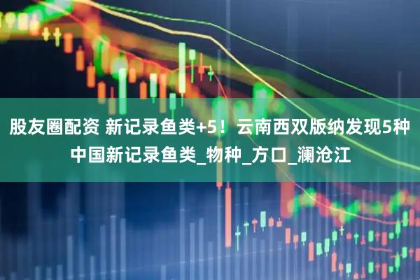 股友圈配资 新记录鱼类+5！云南西双版纳发现5种中国新记录鱼类_物种_方口_澜沧江