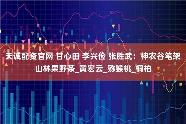 天诚配资官网 甘心田 李兴俭 张胜武：神农谷笔架山林果野茶_黄宏云_猕猴桃_桐柏